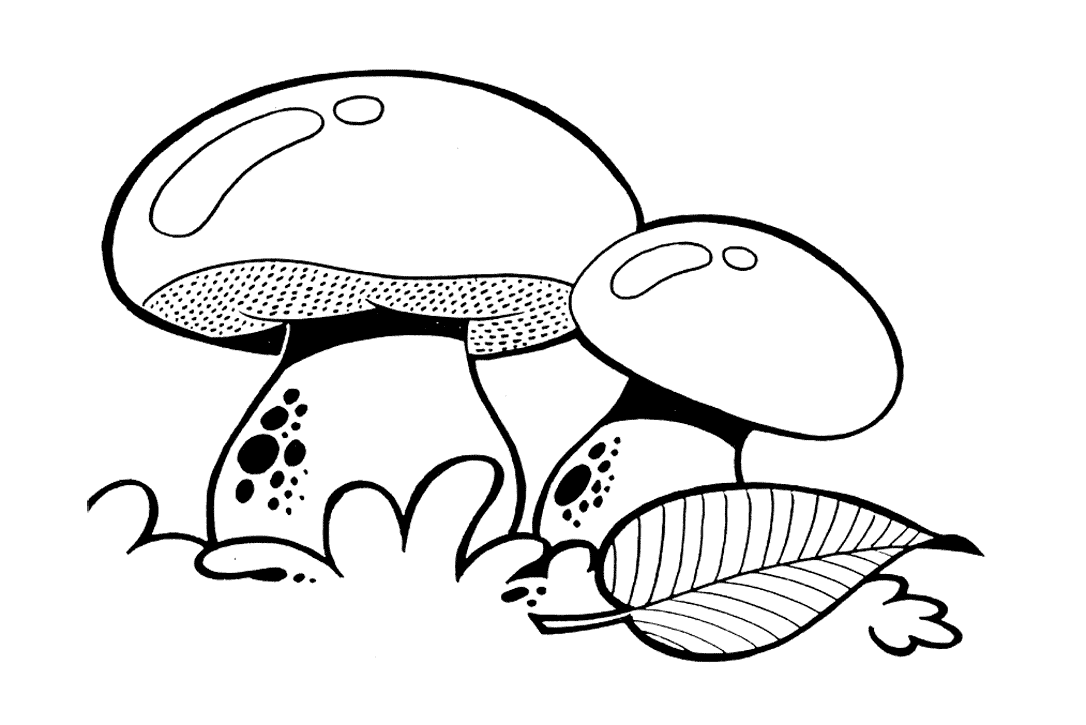 Two Cute Mushrooms To Color