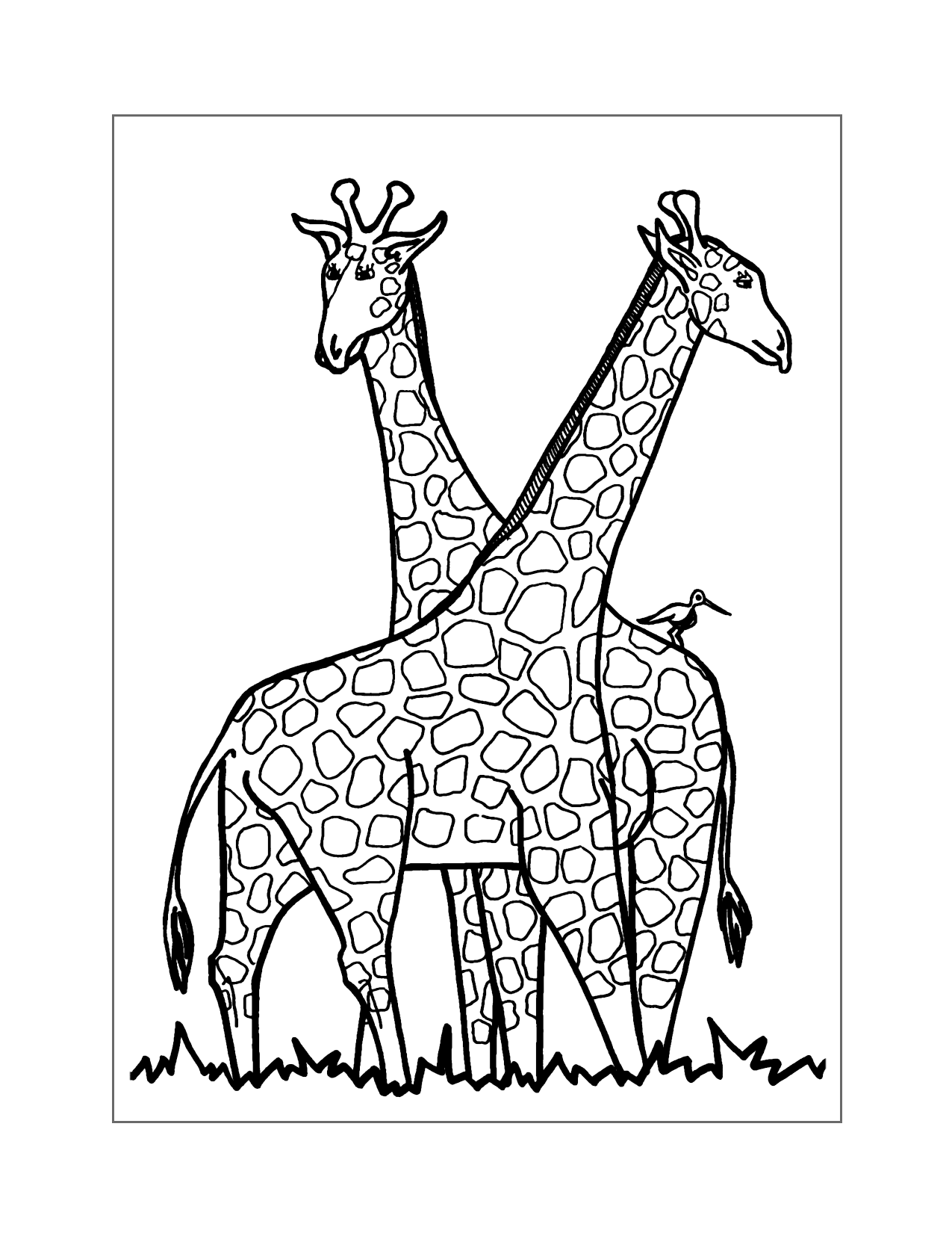 Two Giraffe Coloring Page