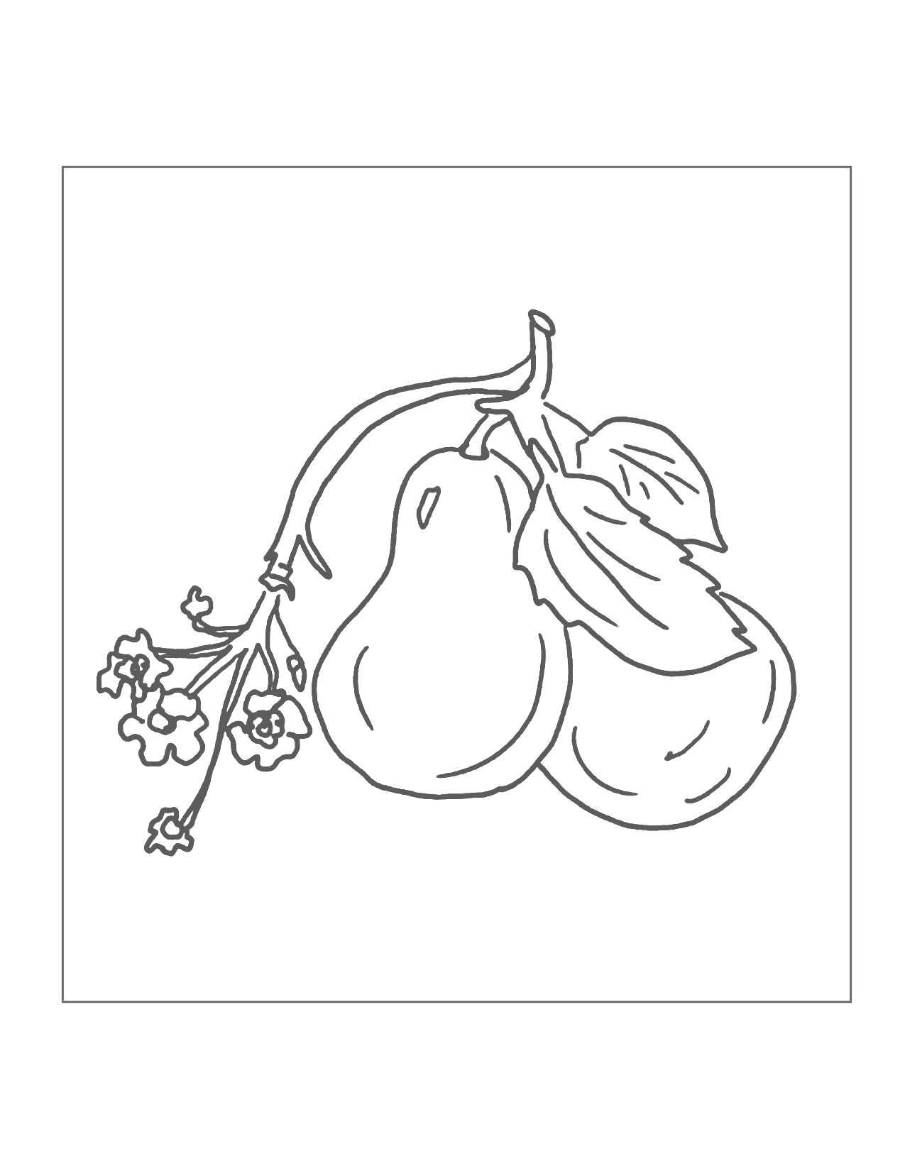 Two Pears On A Branch Coloring Page