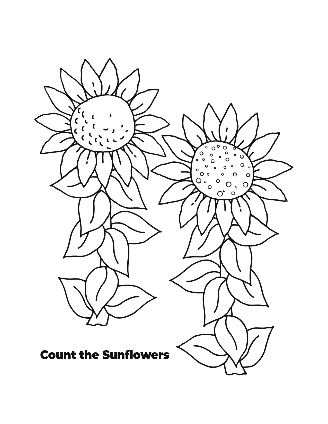 Two Sunflowers Coloring Page