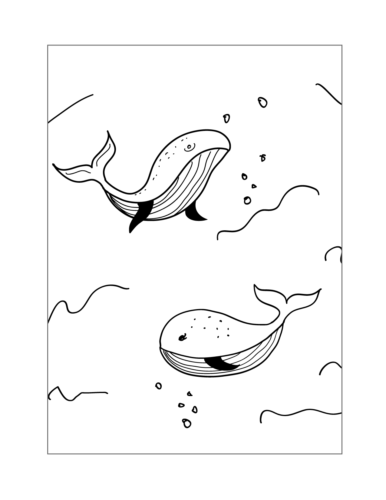 Two Whales Swimming Coloring Page