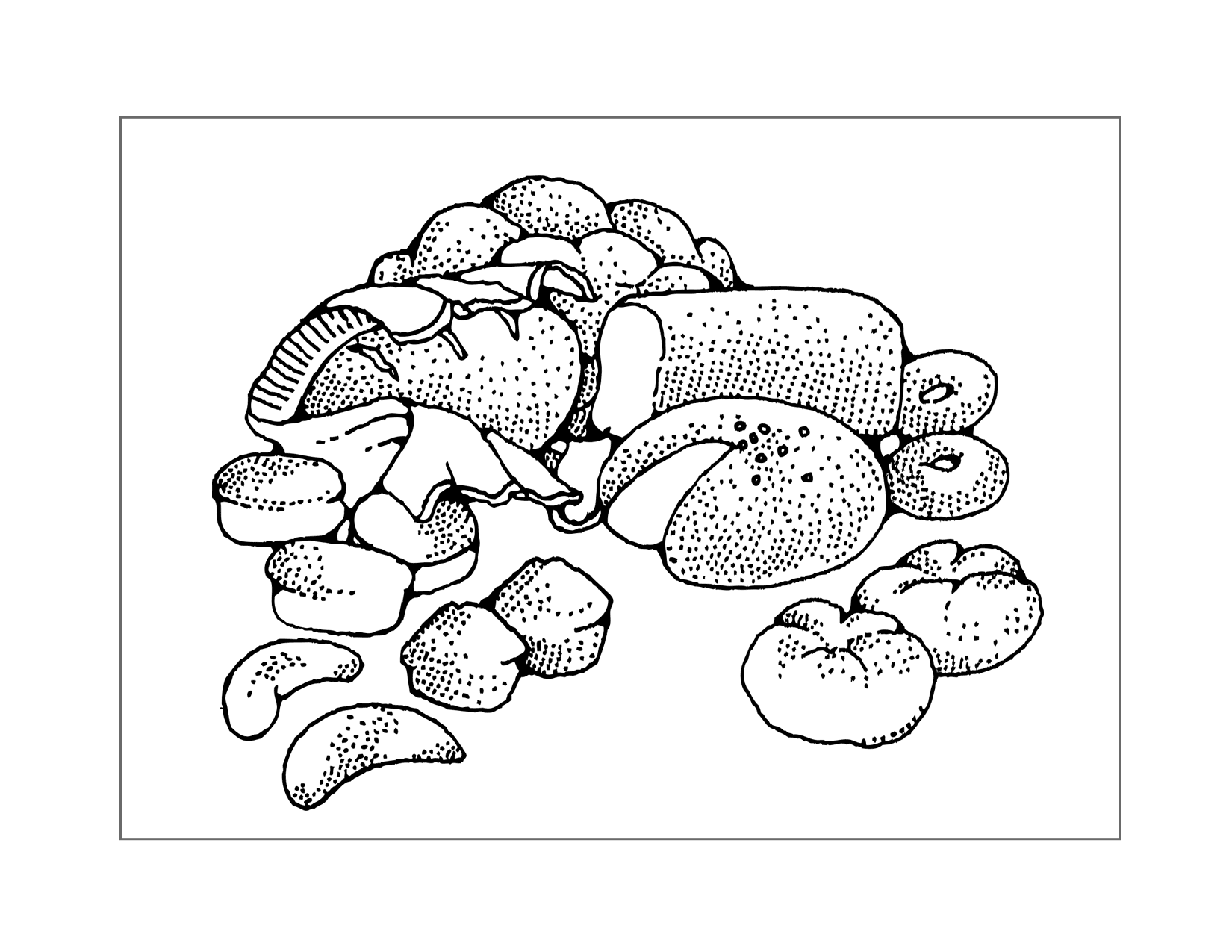Types Of Bread Coloring Page