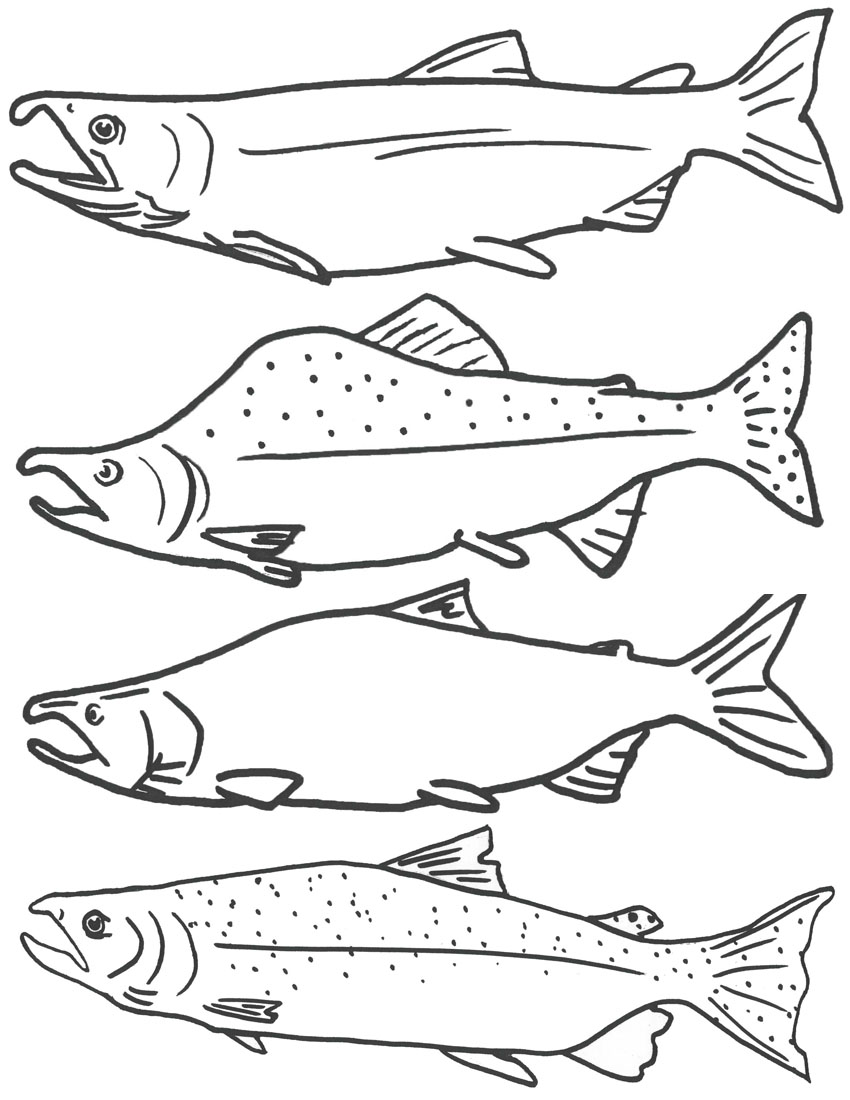 Types Of Fish Coloring Pages