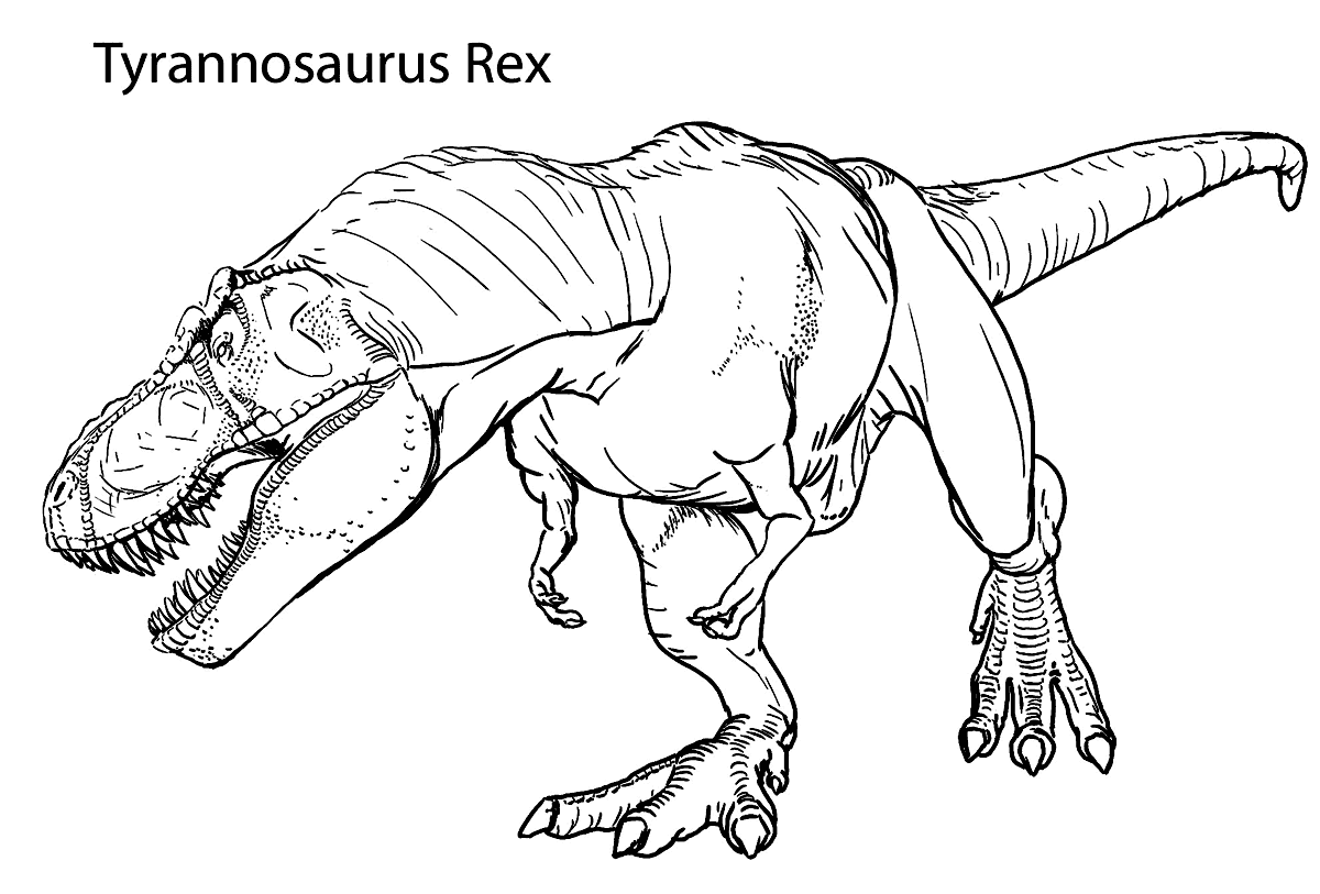 20 Rex Coloring Pages Realistic T Rex Drawing