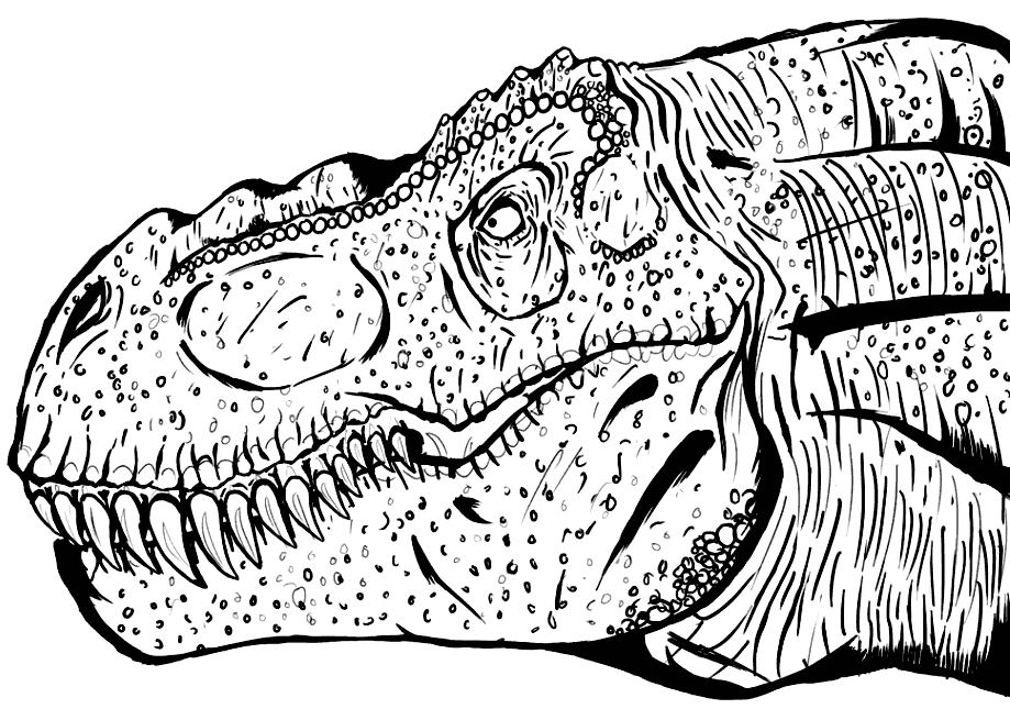 T Rex Coloring Pages Coloring rocks