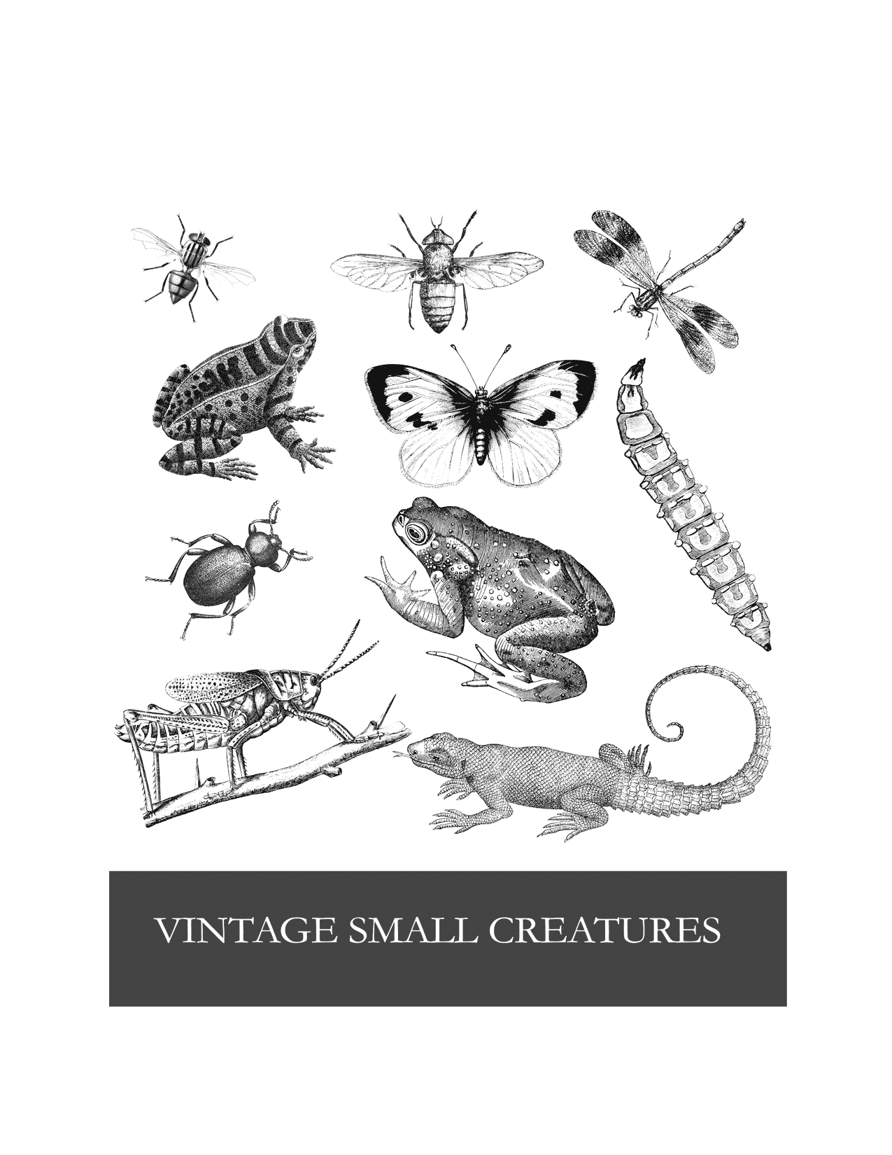 Vintage Small Creatures Coloring Page