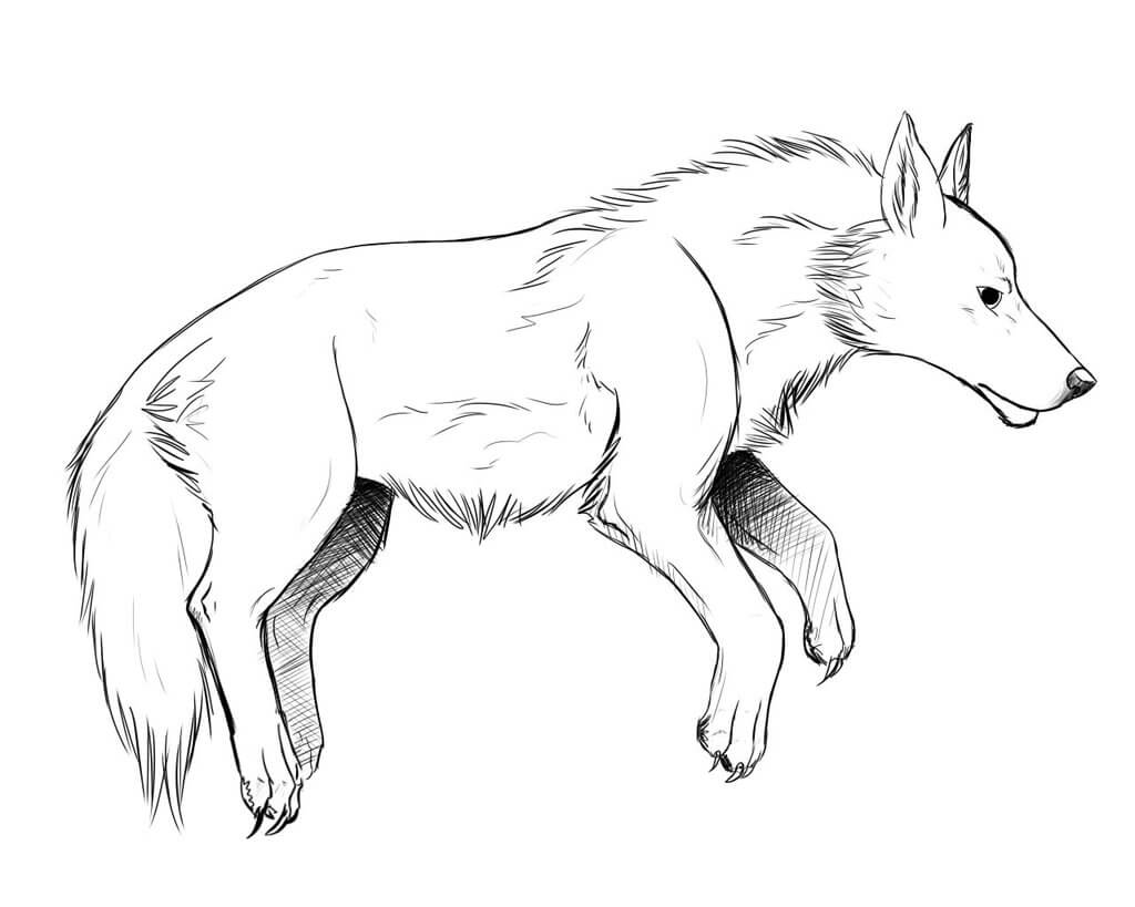 Wolf Coloring Pages to Print