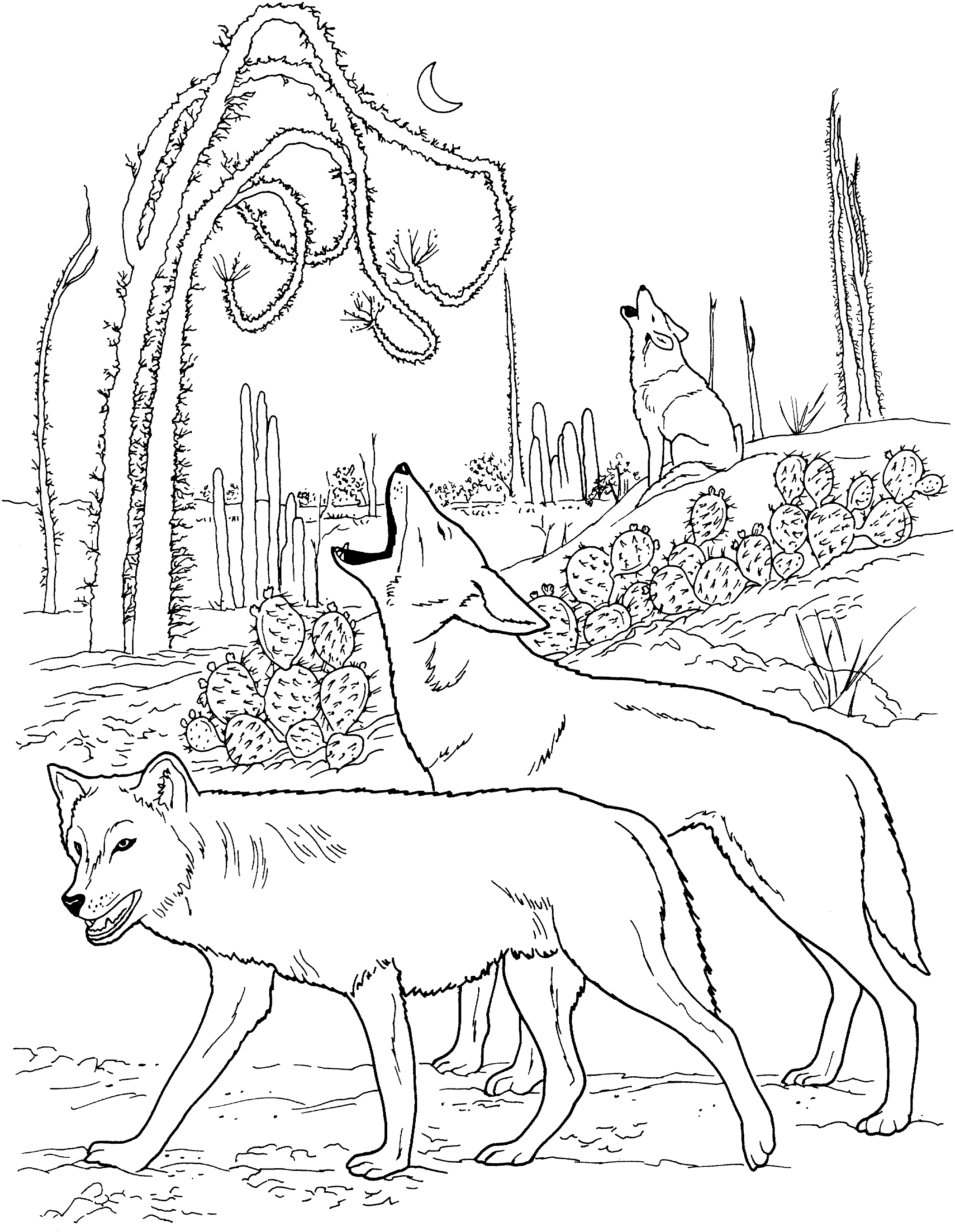 Wolf Coloring Pages3