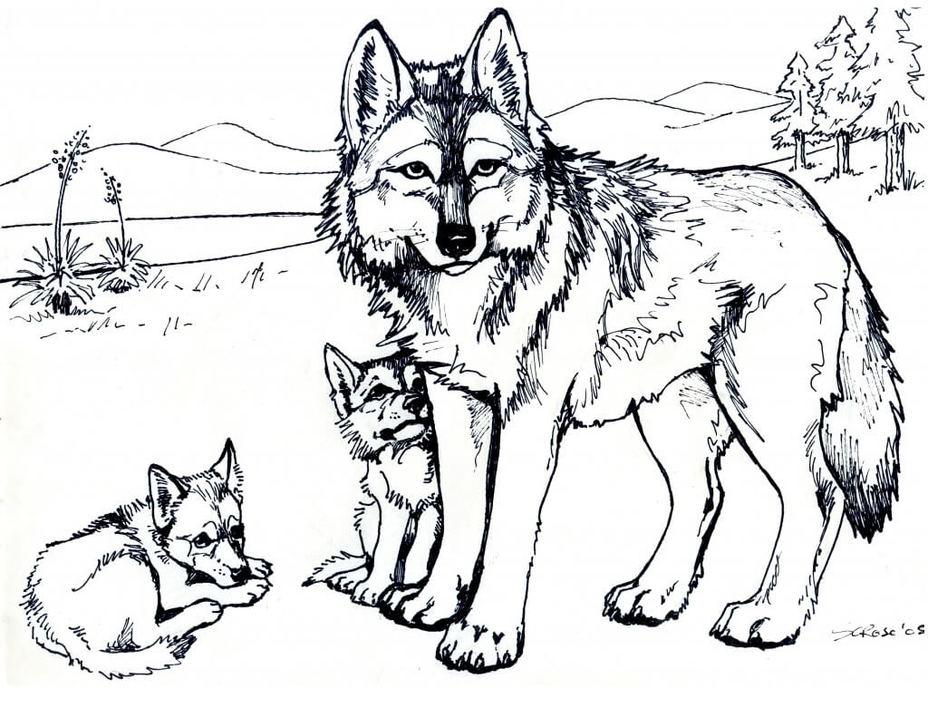 Wolf and Babies Animal Coloring Pages