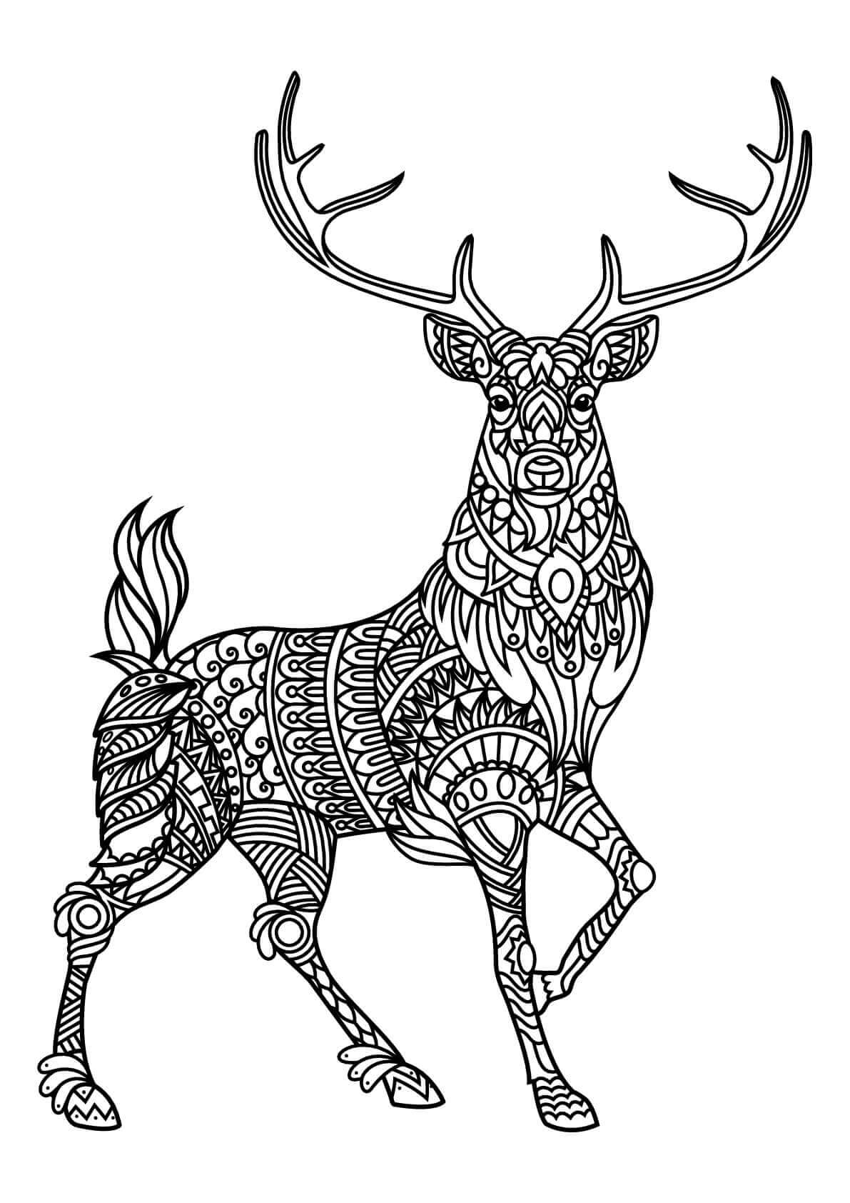 Zen Male Reindeer Coloring Page for Adults