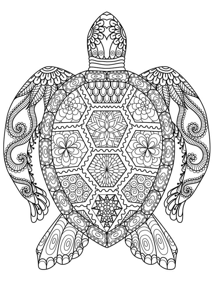 Zen Sea Turtle Coloring Page For Adults