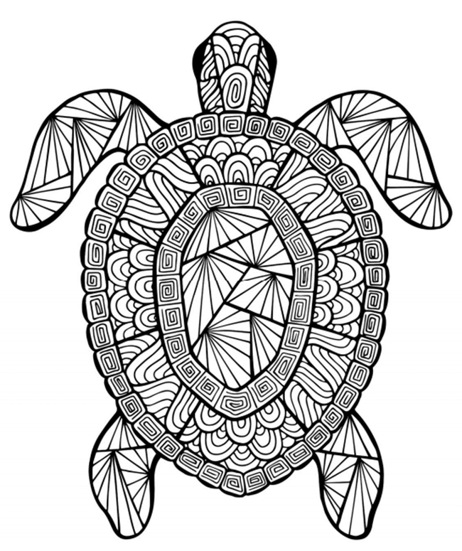 Zen Sea Turtle Coloring Pages For Adults