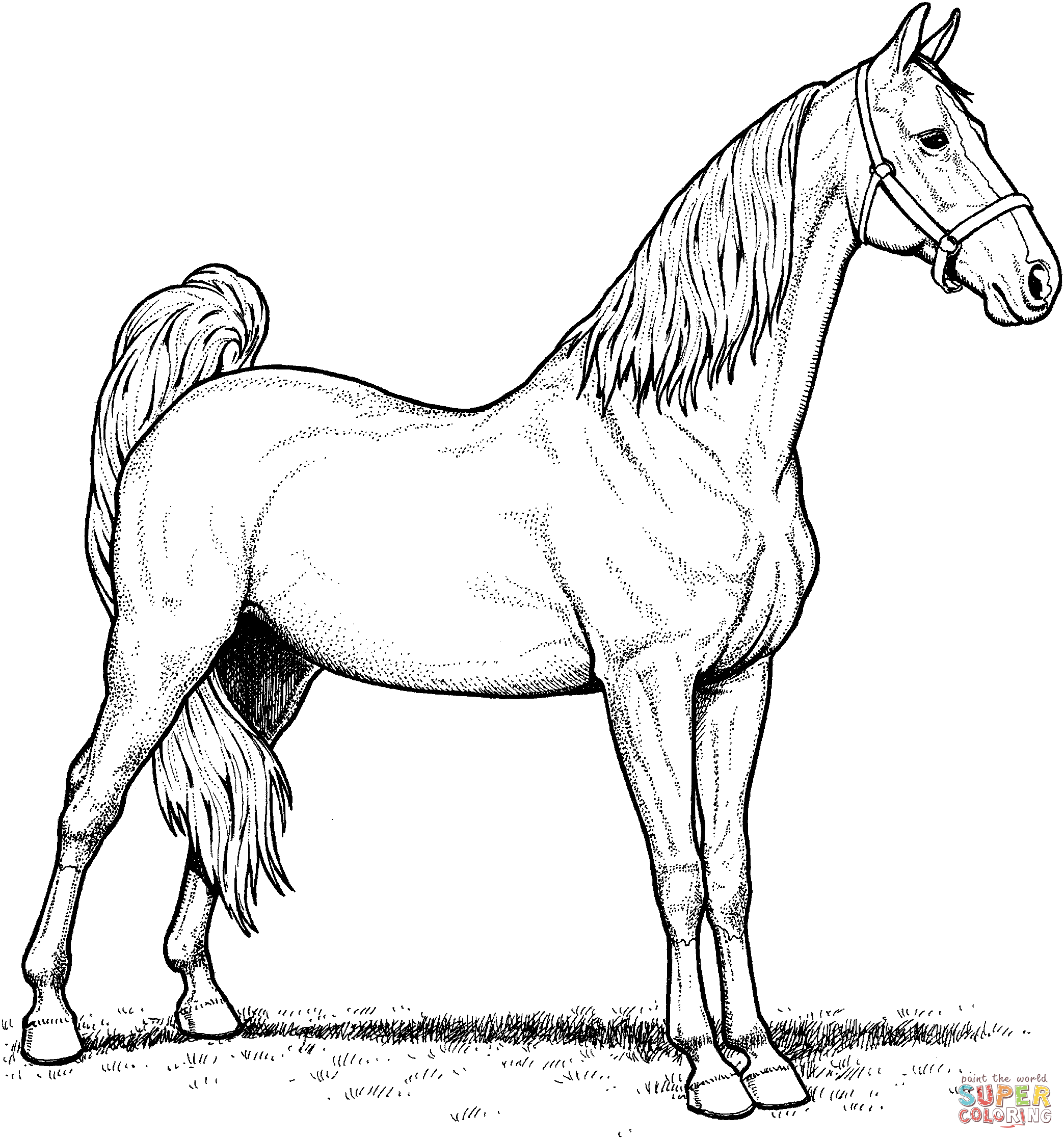 Young Horse Coloring Page